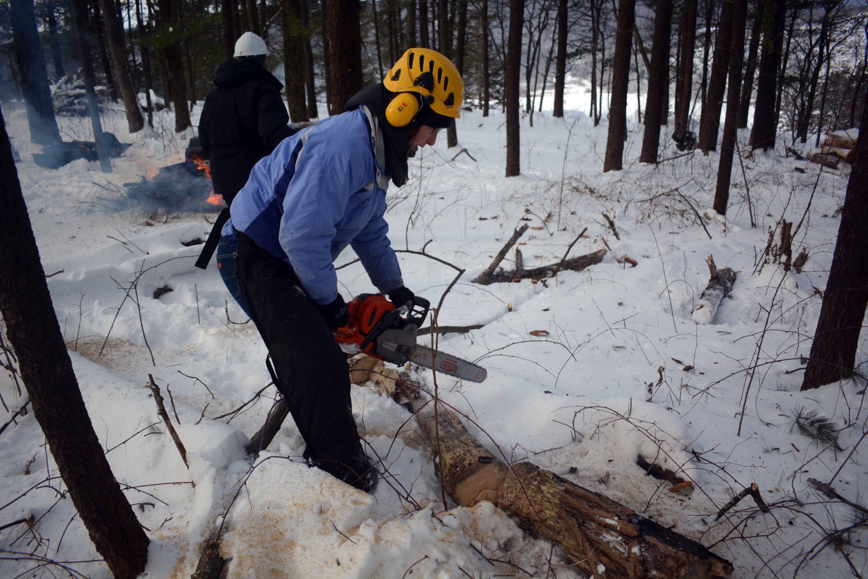 Devil's Lake east bluff stewardship work